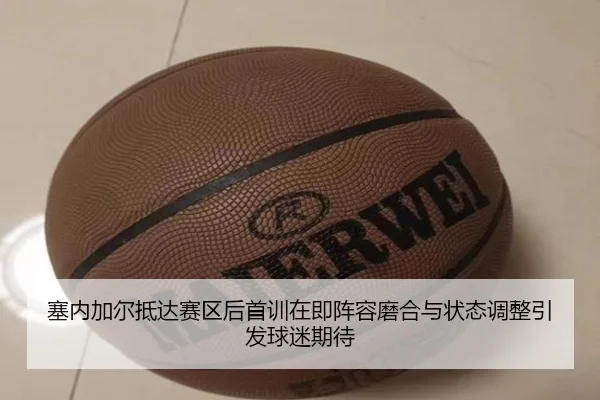 塞内加尔抵达赛区后首训在即阵容磨合与状态调整引发球迷期待